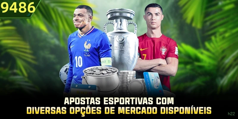 Guias de instalação da h22